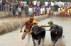 Kambala gets court’s green signal for now